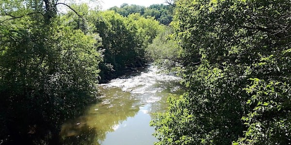 Celebrate Ravine Days with a Lost Rivers walk to honour Charles Sauriol